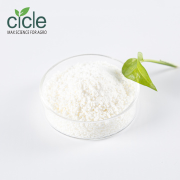 Gibberellic Acid GA3 40% de granule soluble