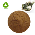 Taraxacum Root Extract Powder Dandelion Flavonoids