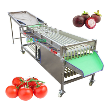 Orbital-Type Fruit Sorting and Grading Machines: Rambutan, Orange, Walnut, Tomato, Mangosteen