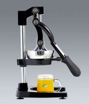 midel size juicer GZ-602