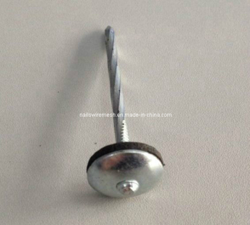 Umbrella Head Roofing Nail with Plastic Washer