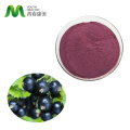 Kosher Halal Certificated Blackcurrant Fruit Juice powder