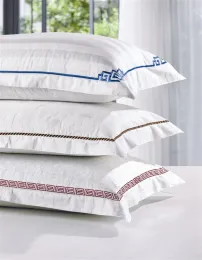 Fashion Embroidery Pillow Covers