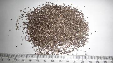 Dried Chia seed,Salvia hispanica,Food additive