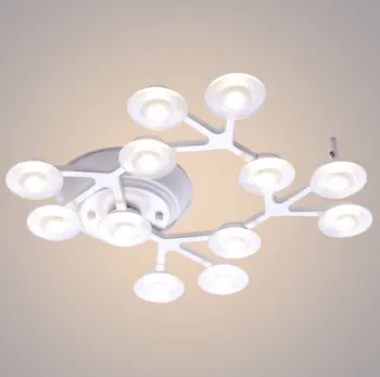 Acrylic and metal material different shape design LED ceiling lamp