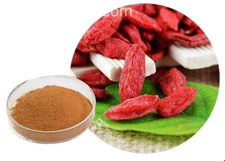 Goji bubuk organik murni bubuk tonik yang sehat