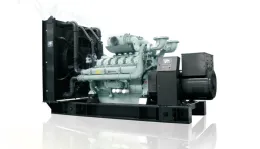 PUSH Perkins series diesel generator set