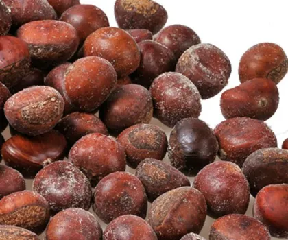 Quick Freezing organic roasted chestnuts frozen chest nut