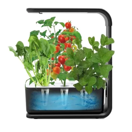 Hot Sale Hydroponics System with 15W LED Grow Light and Automatic Timer