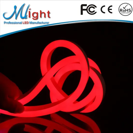 Waterproof 220V SMD2835 neon led strip light led flexible neon strip light