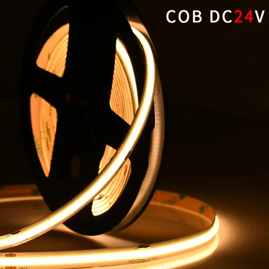 Long Lifetime Low Consumption Flexible Tape Rope Light Magic Dc24v 10W 8MM