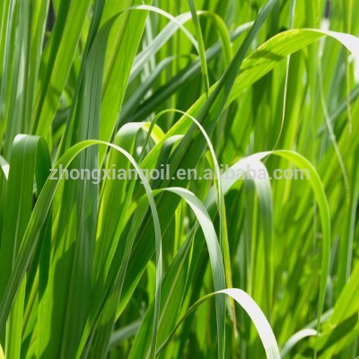 قیمت اسانس گل رز طبیعی Palmarosa Grass