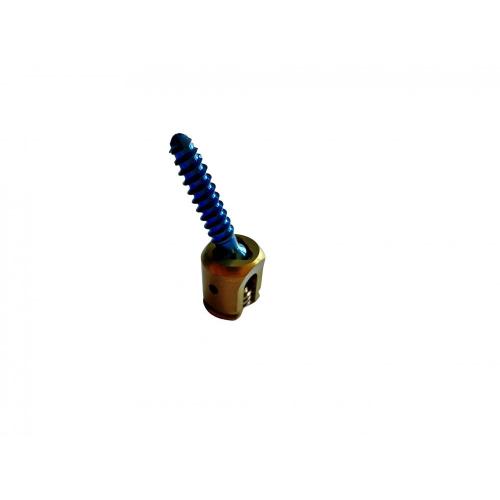 Spinal Screw Shaft Polyaxial Pedicle Screw for Spinal Internal Fixation System Manufactory