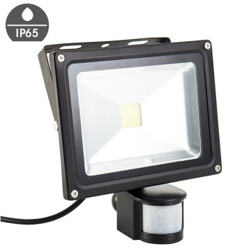 Outdoor Waterproof IP65 PIR Motion Sensor LED Floodlights: 10W, 20W, 30W, 50W, and 100W Induction Floodlight