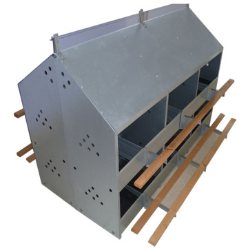 Auto Laying Nesting Box System for Poultry Farming with Plastic Flooring