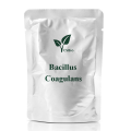 Probioticspulver von Bacillus Cagulans für Lebensmittelzusatzstoffe
