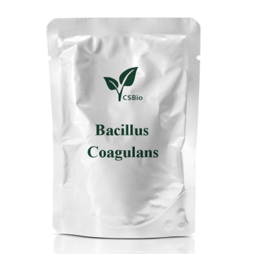 음식 첨가제를위한 Bacillus cagulans의 프로바이오틱스 분말