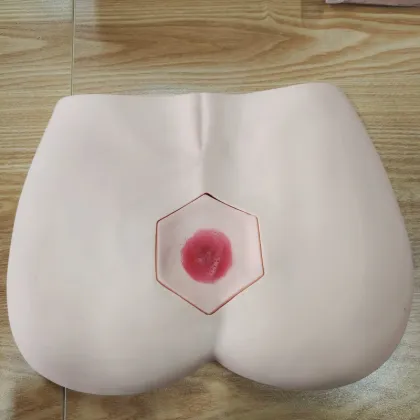 DARHMMY Medical Science Training Model for Decubitus Ulcer Care