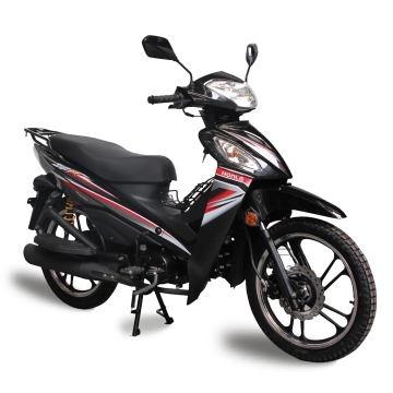 Honlg Motorcycles: 125cc, 120cc, 110cc Gasoline Dirt Bikes &amp; Street Motorcycles per uomini e donne