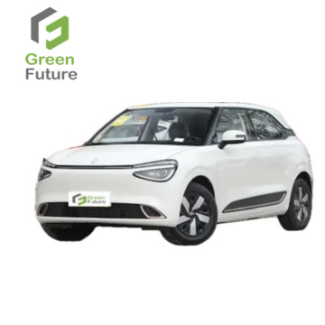 2024 Dongfeng Nano 01 330 Lite Air 430 Mini SUV - Hochgeschwindige neue Energiefahrzeuge für Erwachsene