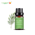 OEM/ODM Tea Tree Essential Oil For Astringent Pore