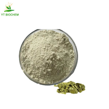 High quality pumpkin seed protein powder