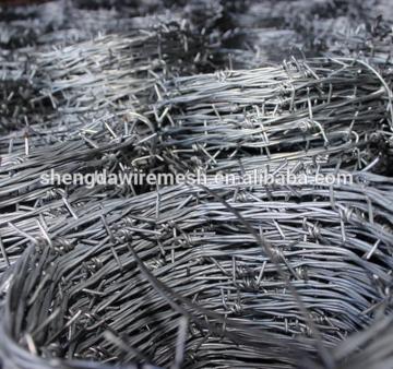 Ultra good quality hot dipped barbed wire at factory price