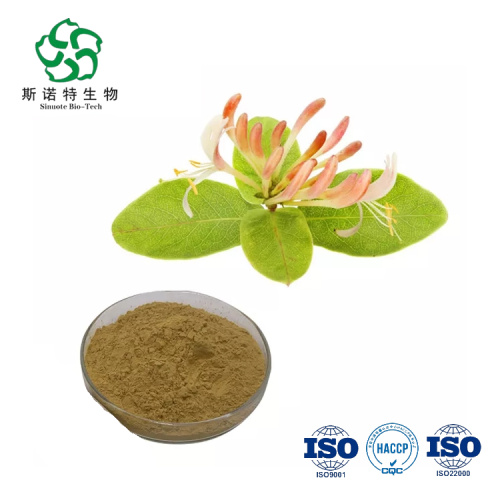 Hot Selling Honeysuckle Extract Powder Chlorogenic Acid