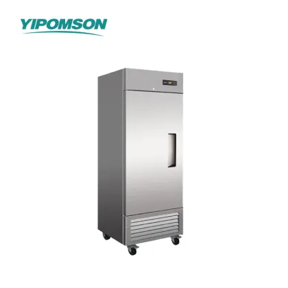 Stainless Steel Reach-In Refrigerator for Restaurants