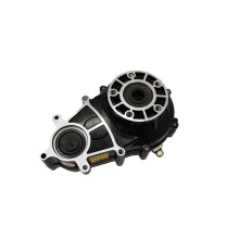 Efficient Electric Tricycle Differential Gearbox Solution