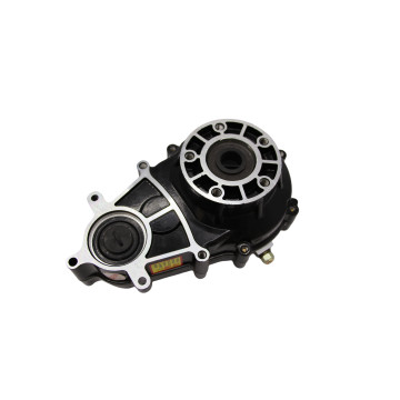 Efficient Electric Tricycle Differential Gearbox Solution