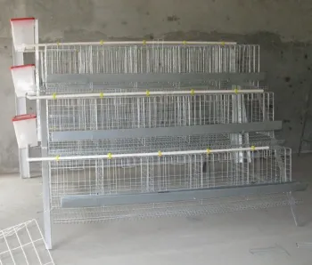 chicken cages