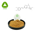 Honegsukle Flower Extract Chlorogénic Acid Powder 5%