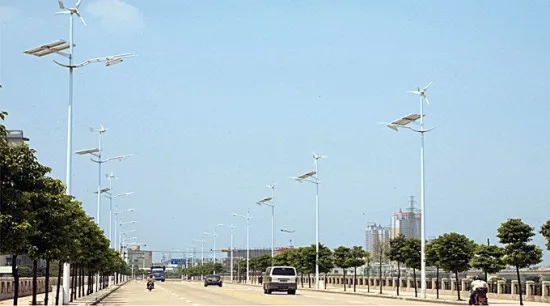 High Power Wind / Photovoltaic Hybrid Off Grid Lighting System Street Lamp 185w 70℃
