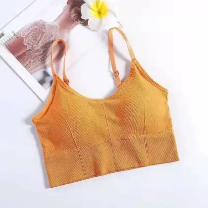 Wholesale Nylon Strap Adjustable Back and Chest Wrapping Underwear for Women