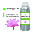 100% Pure And Natural Pink Lotus Essential Oil High Quality Wholesale Bluk Essential Oil For Global Purchasers The Best Price