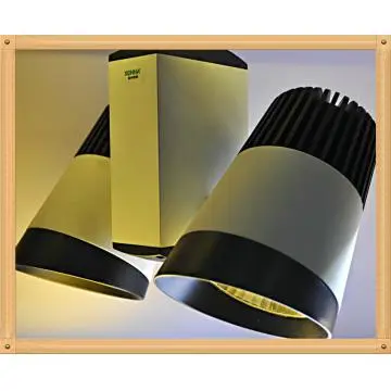 first-class quality double-head white paint  40W COB track light