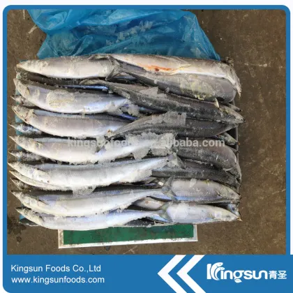 Fresh Material Bulk Packing Fish Pacific Saury