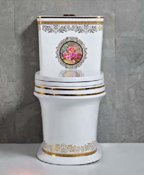 White and Gold One Piece Ghana WC Toilet