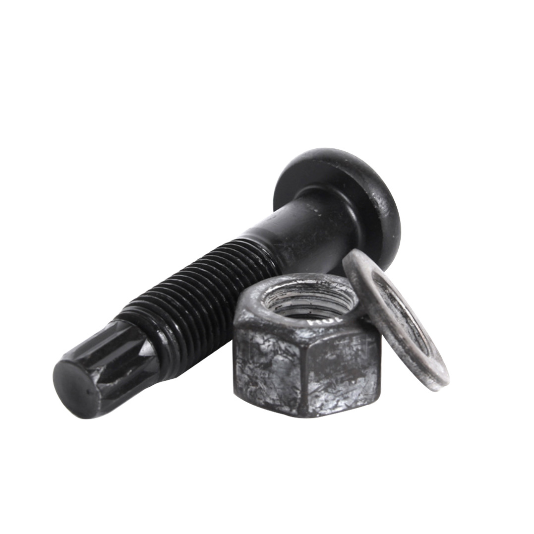 Torshear Type High Strength Bolt for Steel Structures (8)