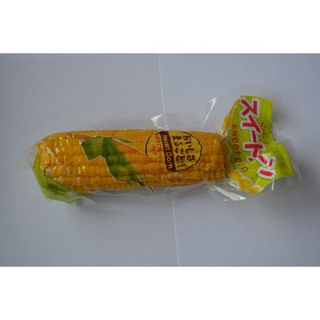 Fresh Sweet Corn 2018 nieuw gewas