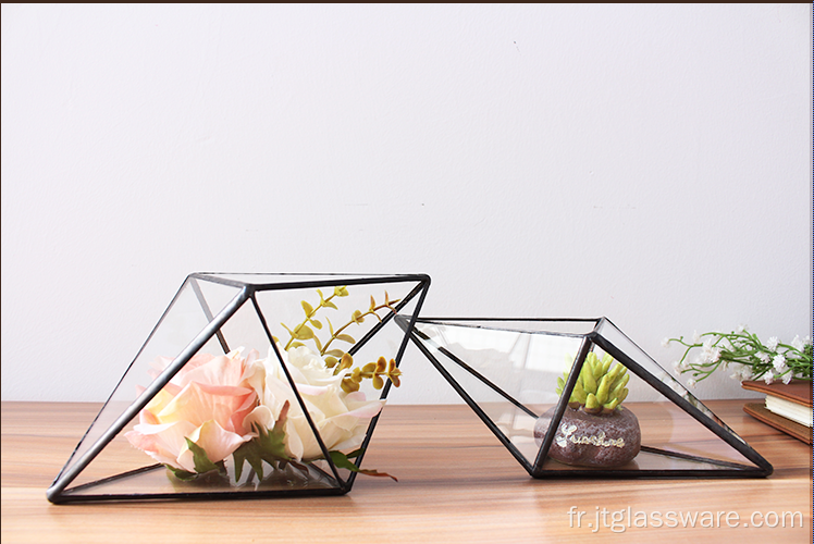 Vases en verre à martini en gros Terrarium pour plantes en verre