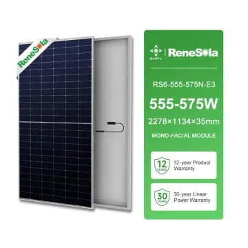 Renesola N-Type Bifacial Solar Panels: 555W, 560W, 565W, 570W, 575W Dual Glass Photovoltaic Modules by Jiangsu