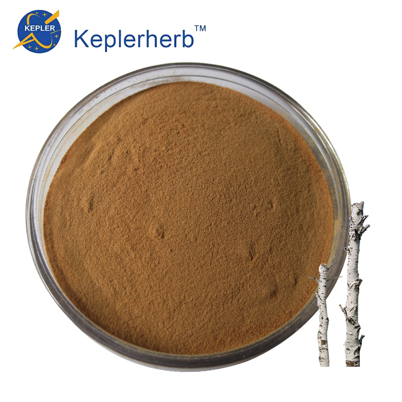 Birch Extract Powder extract