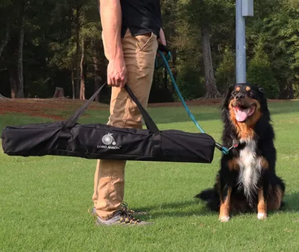 Dog Agility Jump Set