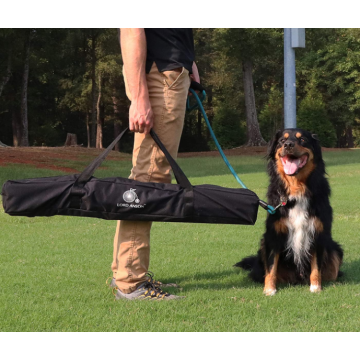 犬の敏捷性のジャンプセット