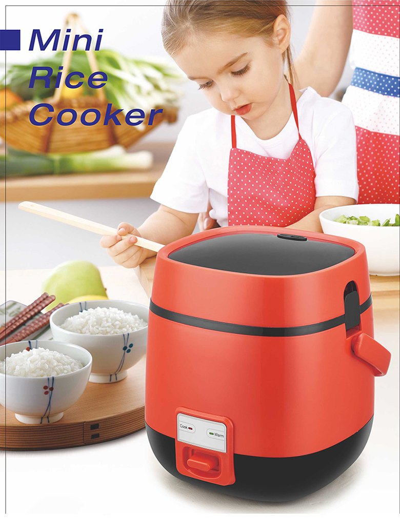 A Mini Cooker