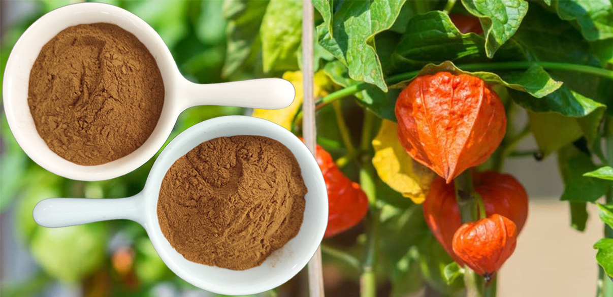 Ashwagandha Extract 18