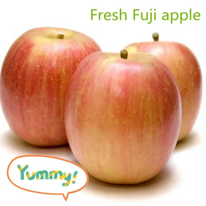 Fresh Fuji apple (long-term cooperation with India,EU,RU market )