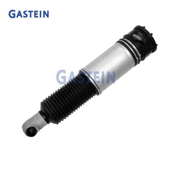 Rear Air Suspension Spring Shock for BMW E65 E66 740 750 OEM Carrier